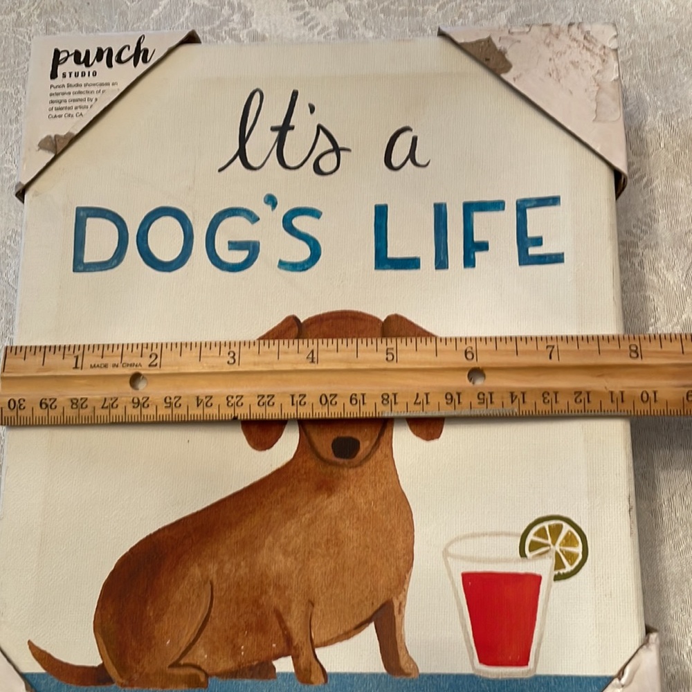 It’s a Dog’s Life” wrapped Dachshund canvas Print. - Picture 8 of 9